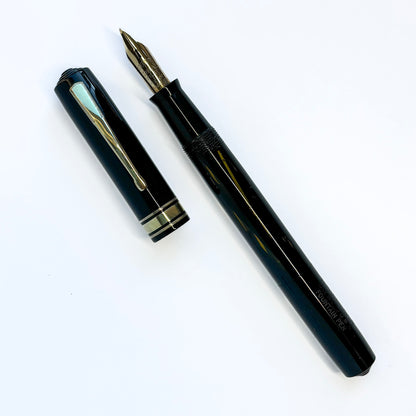 Waterman Ink-Vue Fountain Pen, Jet Black, Flexible Keyhole Nib