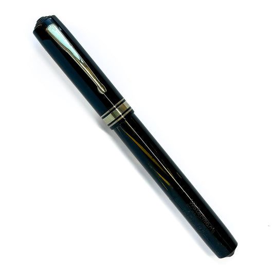 Waterman Ink-Vue Fountain Pen, Jet Black, Flexible Keyhole Nib